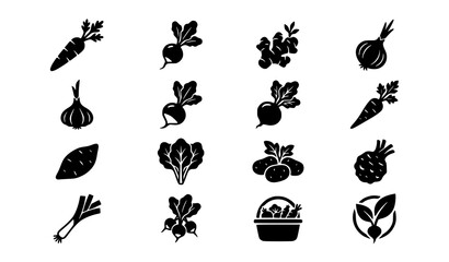 Obraz premium Minimal Root Vegetable Silhouette Icons with Ginger and Organic Farm Produce Shapes