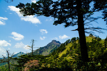 Fototapeta premium 石鎚山