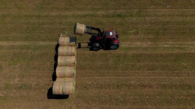 Harvest Time: A tractor meticulously stacks round hay bales in a vast, harvested field, capturing the essence of agricultural labor and rural life.