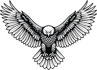 Fototapeta premium Owl in flight with spread wings.