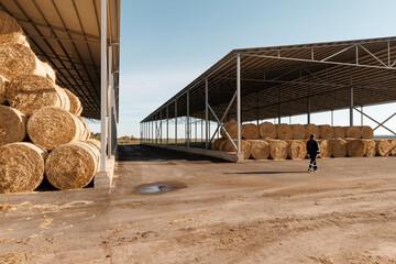 Large hay warehouse with worker walking on sunny day © Parilov