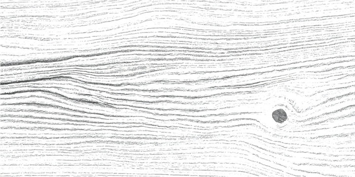 Close up of a light wood texture with prominent grain and a single knot wood slice background material abstract backdrop close up woodgrain woodworking construction furniture woodland