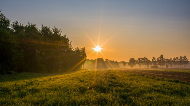 Sonnenaufgang &uuml;ber einem Feld mit Nebel