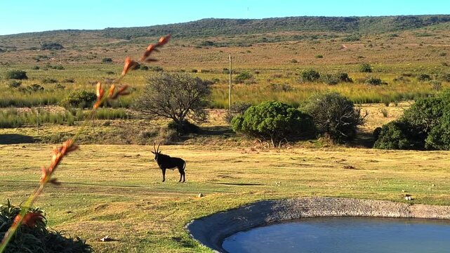 sabel next to the water