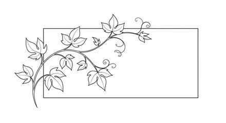 Fototapeta premium Elegant vine border with leaves and curls framing a blank rectangular space for text