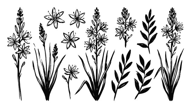 Elegance of tall wild lily flowers and grass silhouettes