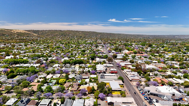 Adelaide, South Australia: 4K Aerial Drone View of Southern Suburbs, Residential Houses, Tree-Lined Streets, Jacaranda Bloom and Urban Landscape in Unley, Parkside, Malvern 