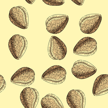 pattern zalacca salak fuit hand drawn. snake salacca, fresh skin, top sala zalacca salak fuit vector sketch illustration