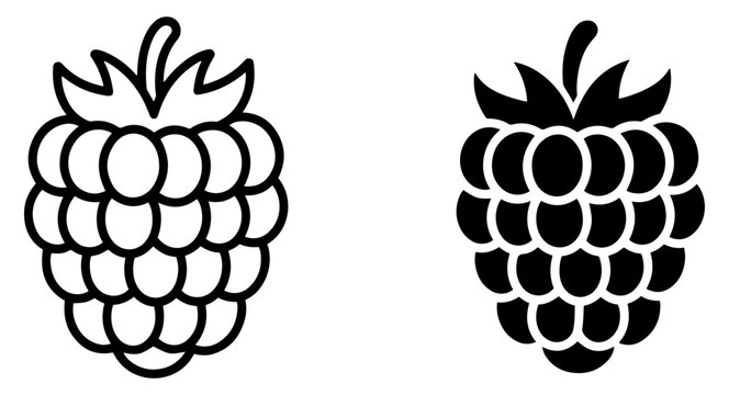 Raspberry Outline Clipart