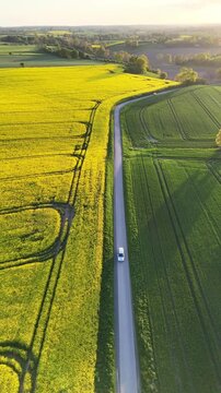 Aerial view of vibrant yellow rapeseed fields and green meadows with a car driving on a narrow road in Langballig, Schleswig-Holstein, Germany.