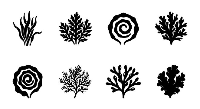 Seaweed Icons Set, Marine Algae Vector Graphics, Ocean Plant Silhouettes, Underwater Flora Collection