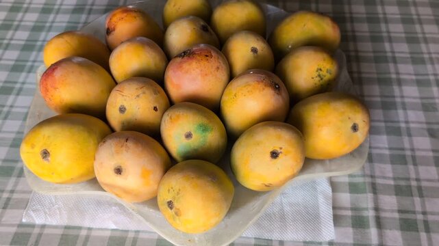Fresh alphonso mangoes in a fruit tray, HD horizontal video B-roll 