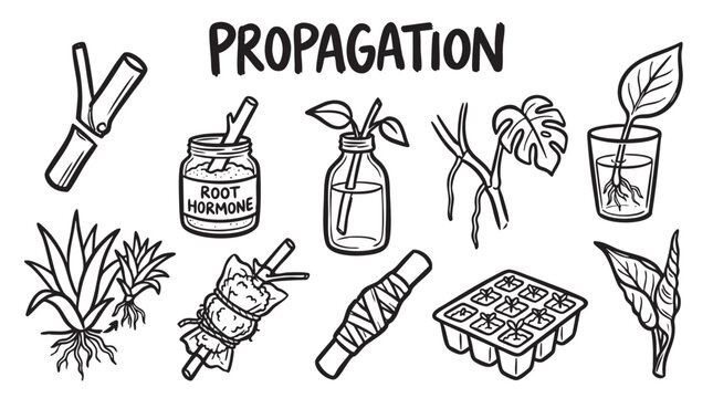 Plant propagation methods and gardening techniques hand drawn sketch icons set for botanical hobby and education.
