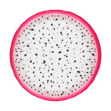 slice of dragon fruit, summer, citrus, juice isolated hand drawn illustration on transparent background