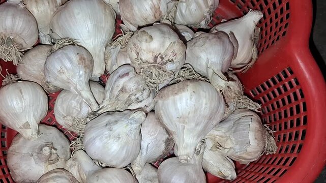 Fresh Whole Garlic Bulbs in a Red Basket