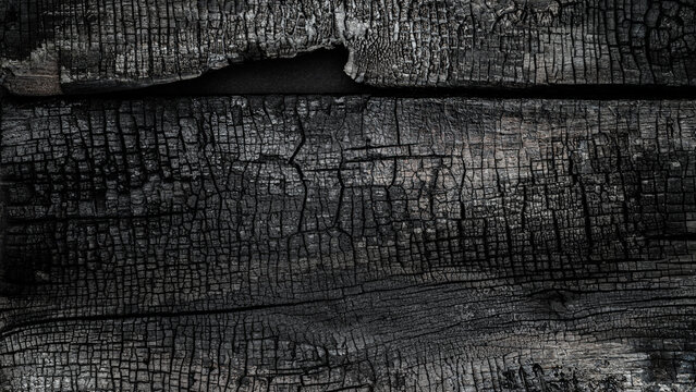 Close up view of charred wood surface showing texture and grain details along with black and gray tones