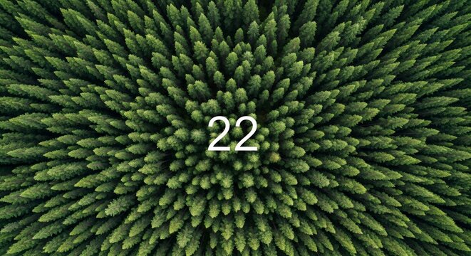 Number twenty two green forest
