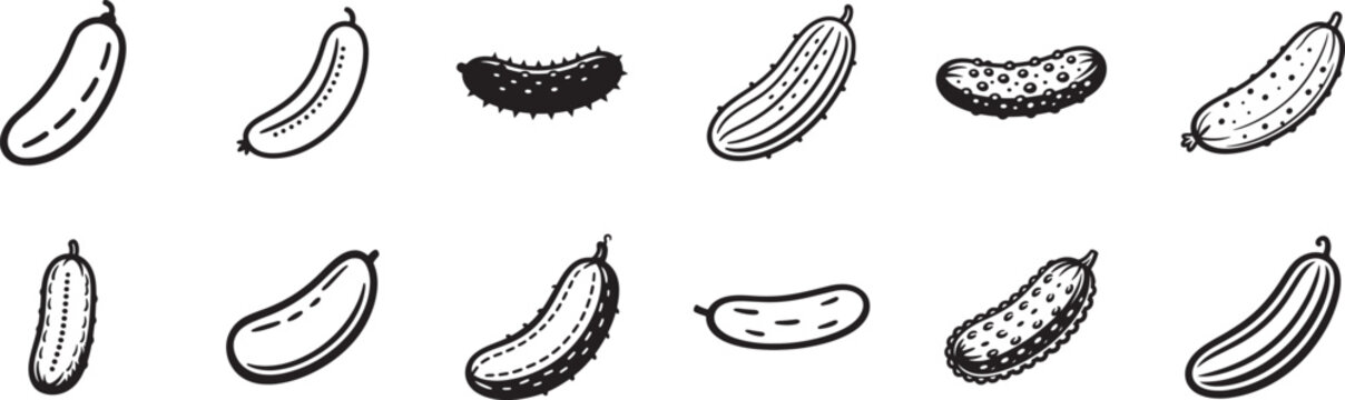 Collection of sea cucumber soft line art icons. Marine animal linear symbols vector set.