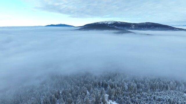 Cinematic orbital aerial view around the snow-covered Rysianka mountain shelter and frosted pine forest during a cold, cloudy winter day with heavy fog in Beskid Zywiecki.