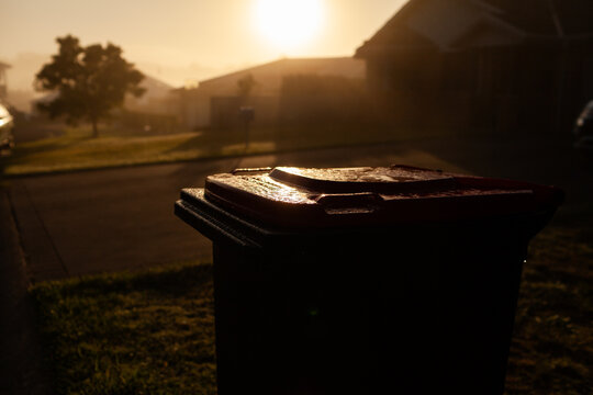 Golden sunlight on misty morning over rubbish bin out for fortnightly curbside pickup
