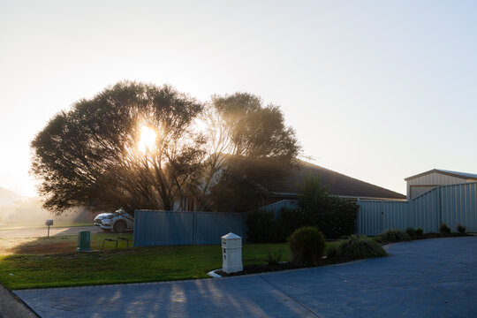 Rays of morning light streaming through mist between tree beside suburban home