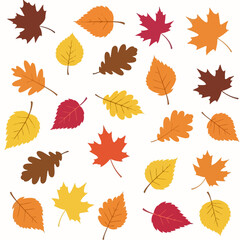 Fototapeta premium Autumn leaves assortment on a white background, fall season.