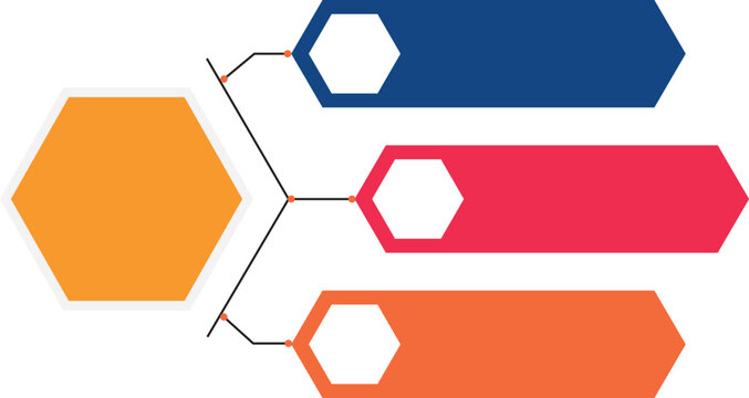 3-step hexagon branch tree infographic layout for business hierarchy and process presentation isolated background 