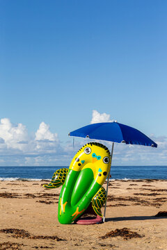 Beach, Budgie and Blue Brollie