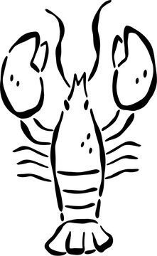 Crayfish illustration, isolated on black, simple line art