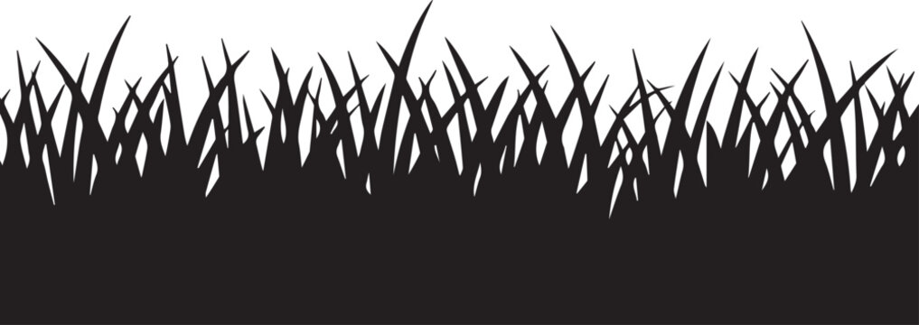 Black silhouette of sharp thorns or grass on solid white background for design elements isolated texture