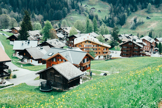 スイスのグリンデルワルドの風景とラマ