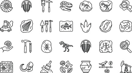 Paleontology icons collection for fossils dinosaur fossils and archaeological digging tools. © ARNIKA ISLAM