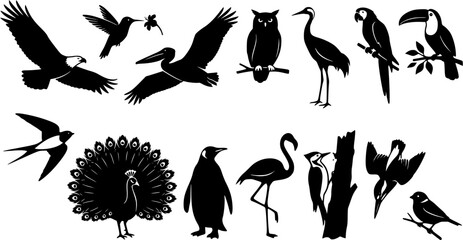 Naklejka premium Set of wild bird silhouettes including eagle, parrot, penguin and flamingo, collection of various avian species in black style.