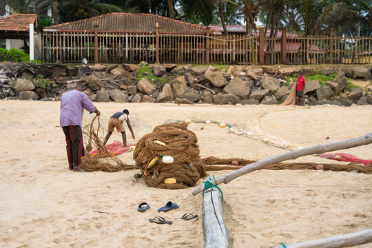Sri Lanka - 29 January 2026: View of local fishermen preparing large traditional fishing nets on a sandy beach with palm trees and buildings in the background.