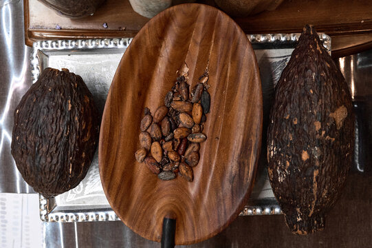 Top view of raw cocoa beans in a wooden scoop with whole cacao pods on a silver tray. Chocolate manufacturing background