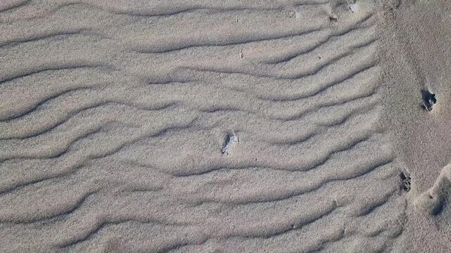 Natural Sand Ripple Patterns on Danish North Sea Beach near Billund, Denmark