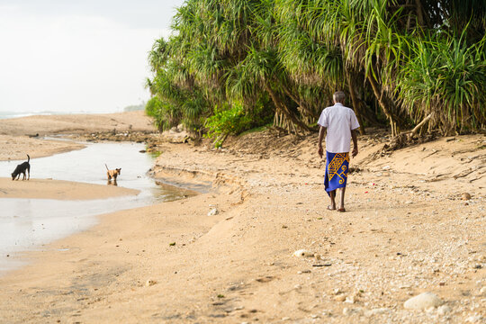 Sri Lanka - 09 January 2026: View of a man walking along a sandy beach path lined with tropical pandanus trees and stray dogs in the background.