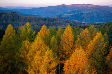 Tatry Beskid Sądecki, Malnik, Muszyna. © Maciej G. Szling