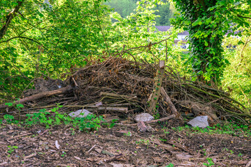 Fototapeta premium Nature's debris: a pile of branches and leaves in a vibrant green setting