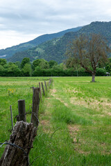 Obraz premium Rustic fence across green meadow in Swiss countryside.