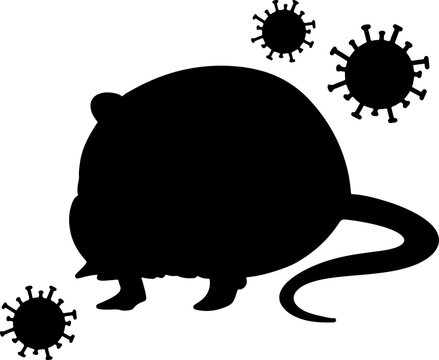 rat with hantavirus, mouse virus infection disease vector asset