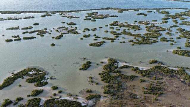 Aerial view of the Yucalpeten mangrove islands scattered across shallow coastal waters under a clear sky in Progreso, Yucatan, Mexico.