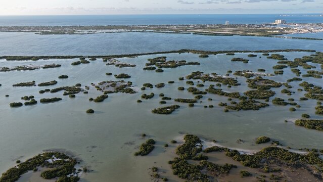 Aerial view of the Yucalpeten lagoon featuring numerous mangrove islets scattered across calm waters under a clear sky Progreso, Yucatan, Mexico.