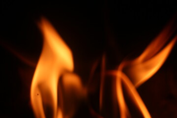 Fototapeta premium Close Up of Firewood Burning with Golden Flames in a Traditional Stove