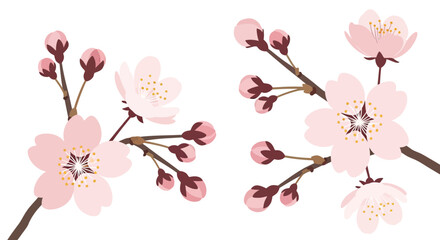 Obraz premium Delicate Blossom Branch Illustration, Floral Design on White