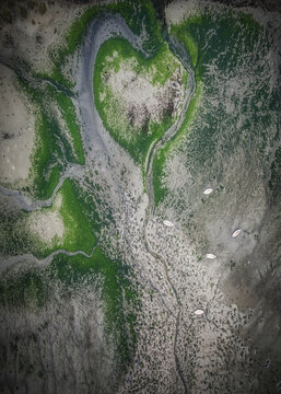 Aerial view of Bull Island featuring a heart-shaped patch of green algae and small white boats anchored in the shallow coastal waters of County Dublin, Ireland.