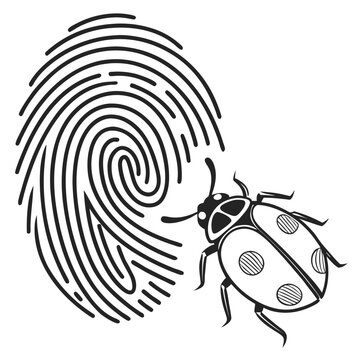 Vector illustration depicting a fingerprint swirl alongside a stylized ladybug on a white background bug beetle