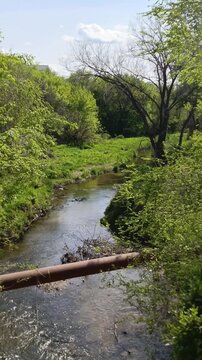 Pipes placed above the river in the forest in summer. dam, dam to retain water. Reservoir