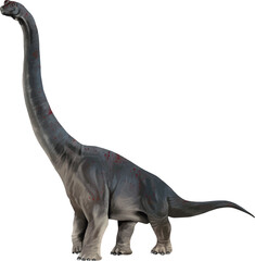 Realistic long neck dinosaur vector illustration representing prehistoric wildlife and giant creatures. © somwut
