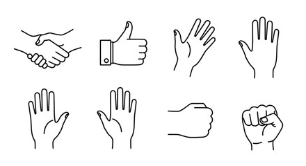 Fototapeta premium Hands in various gestures and positions.